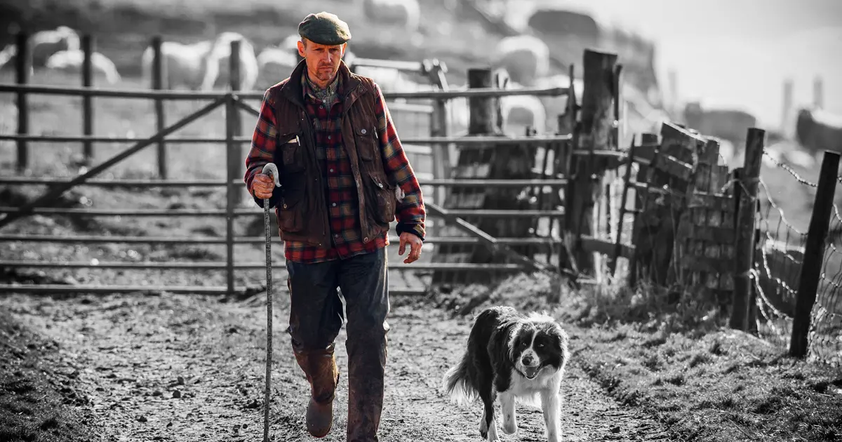 Farmer walking sheepdog
