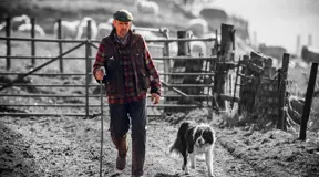 Farmer walking sheepdog