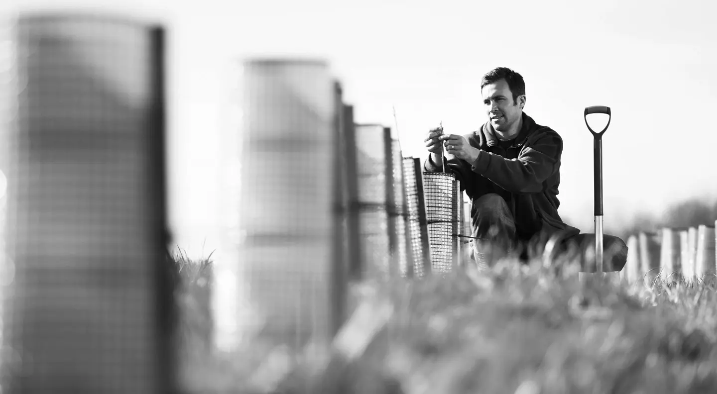 Farmer tending tree 