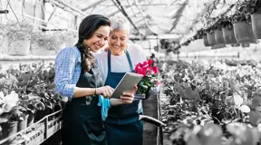 People in a greenhouse growing flowers