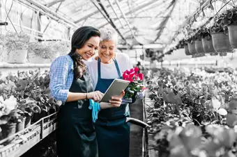 People in a greenhouse growing flowers