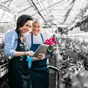 People in a greenhouse growing flowers