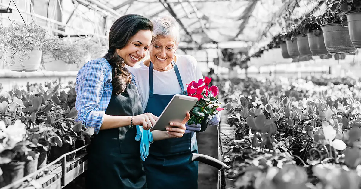 People in a greenhouse growing flowers