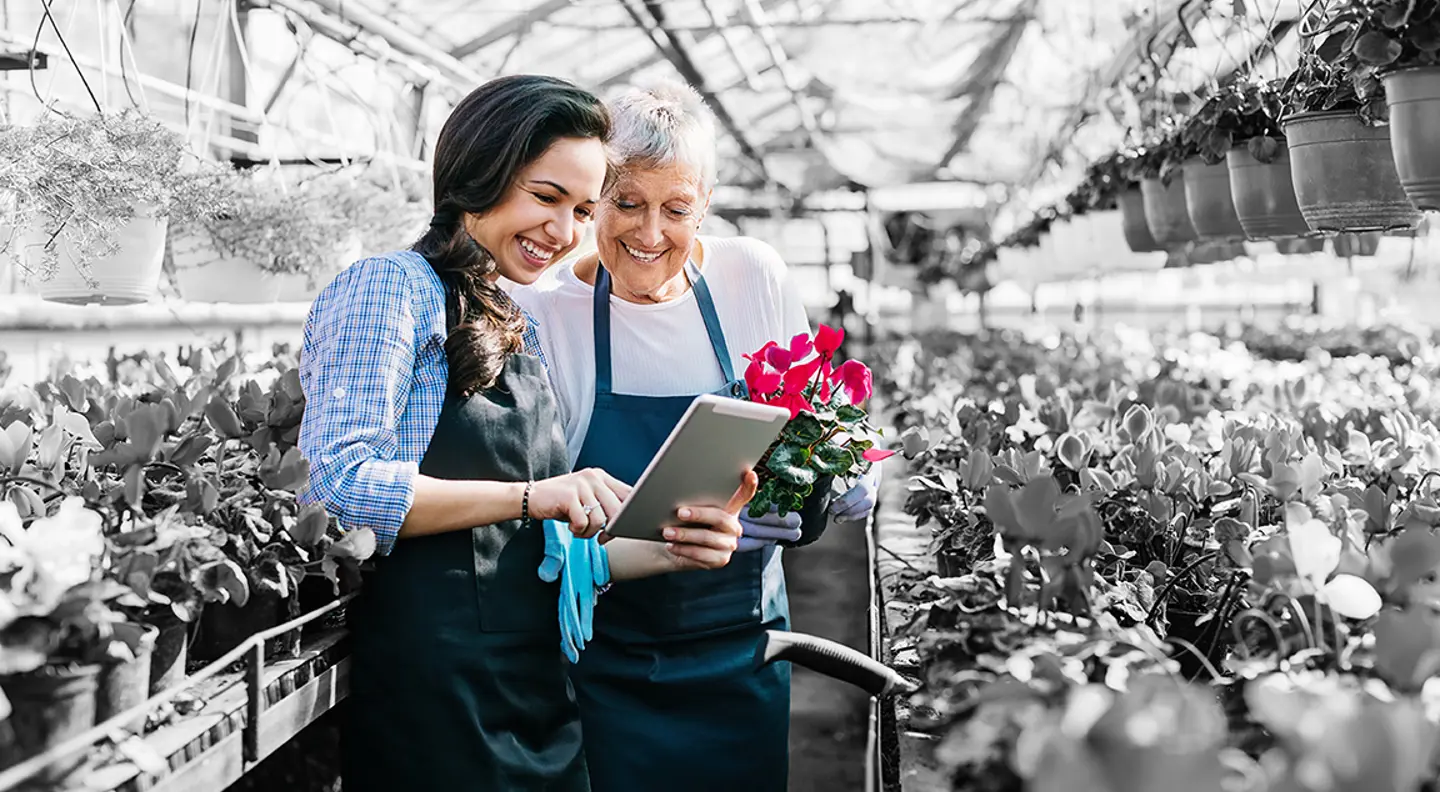 People in a greenhouse growing flowers