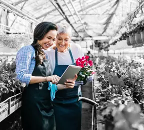 People in a greenhouse growing flowers